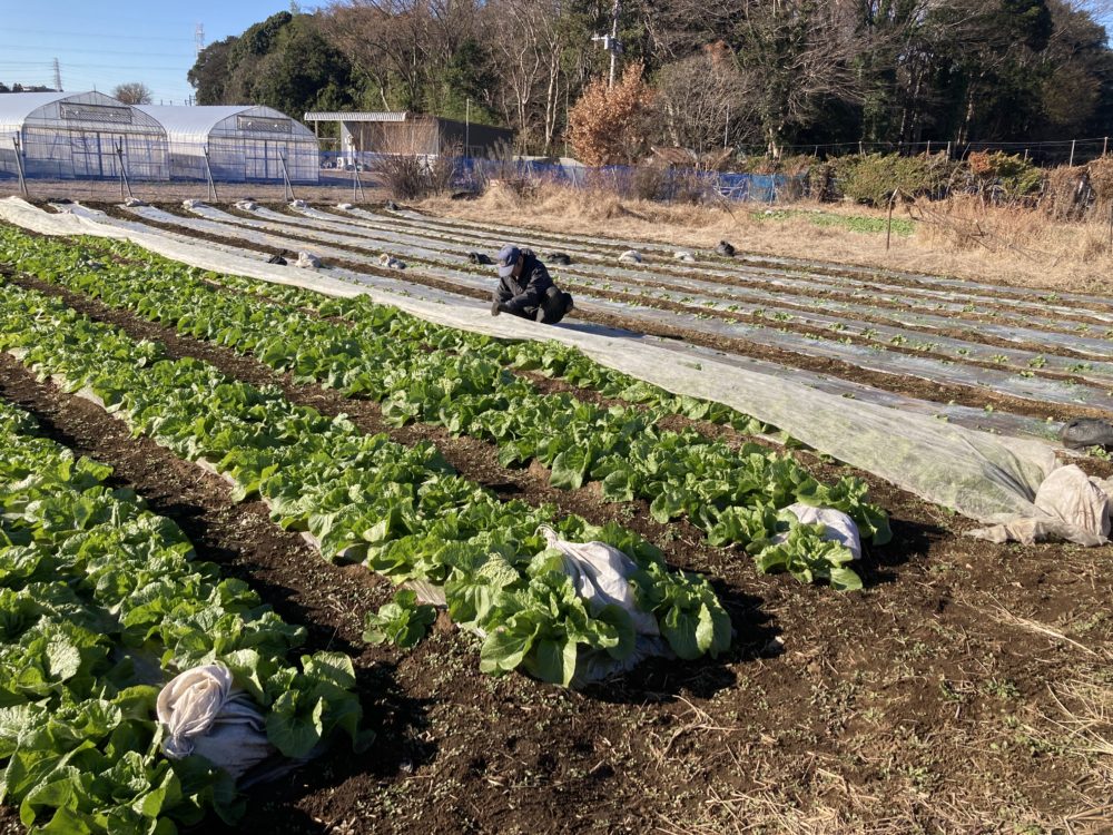 年末の近況報告