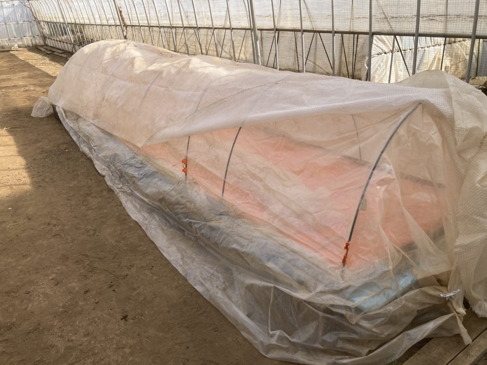 一週間の様子（農業）