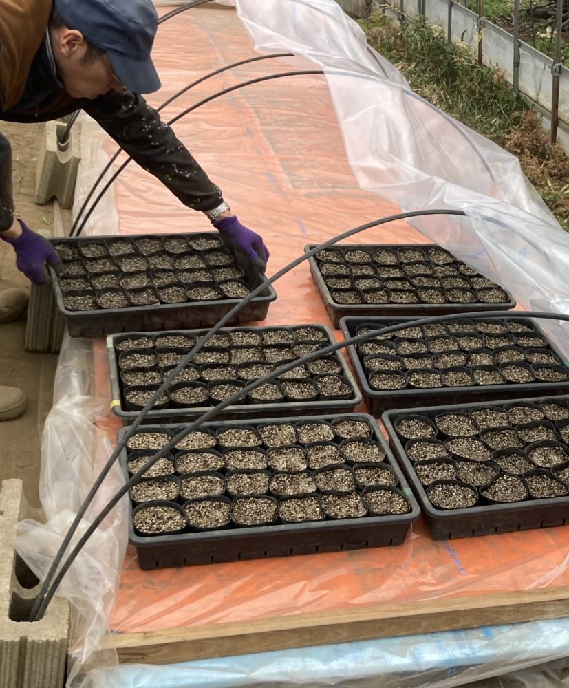 小さな翼の近況20260308